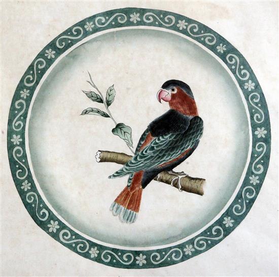 A pair of watercolour plate designs depicting parrots